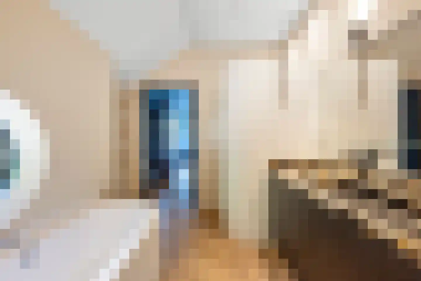 Hoge Duin en Daalseweg 31 a Bloemendaal thumbnail 42