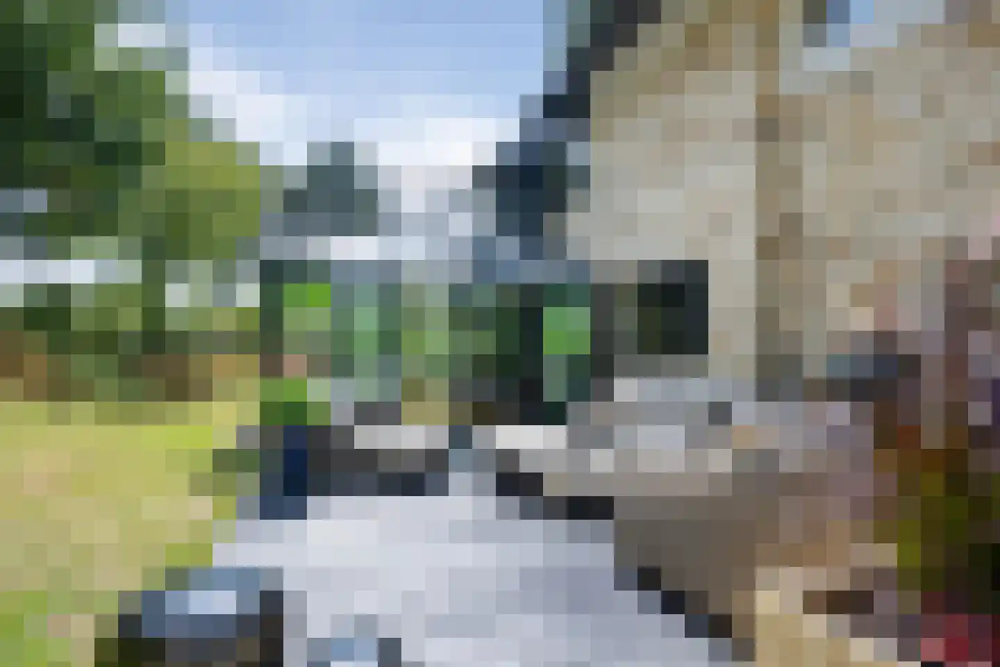 Hoge Duin en Daalseweg 31 a Bloemendaal thumbnail 44