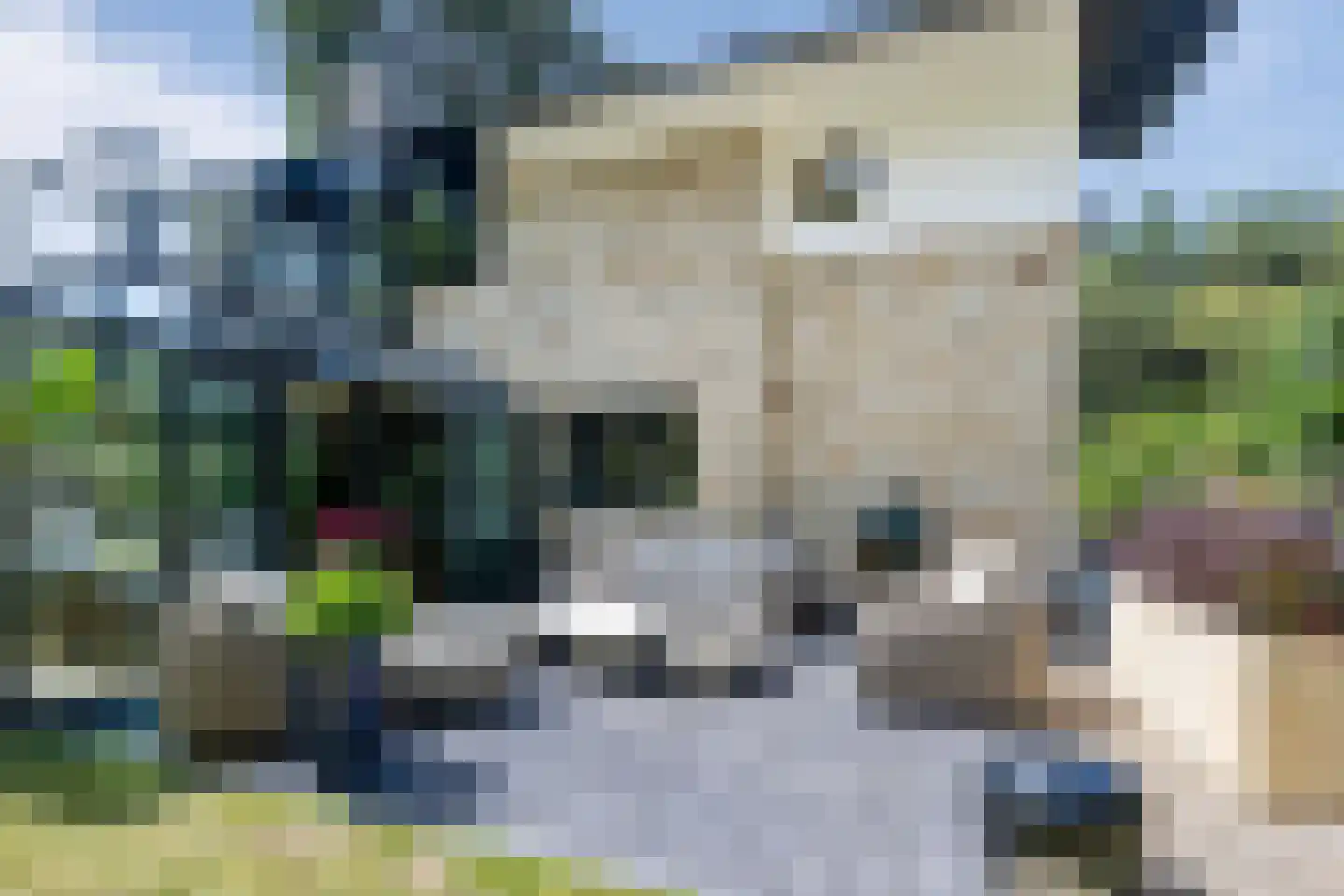 Hoge Duin en Daalseweg 31 a Bloemendaal thumbnail 45