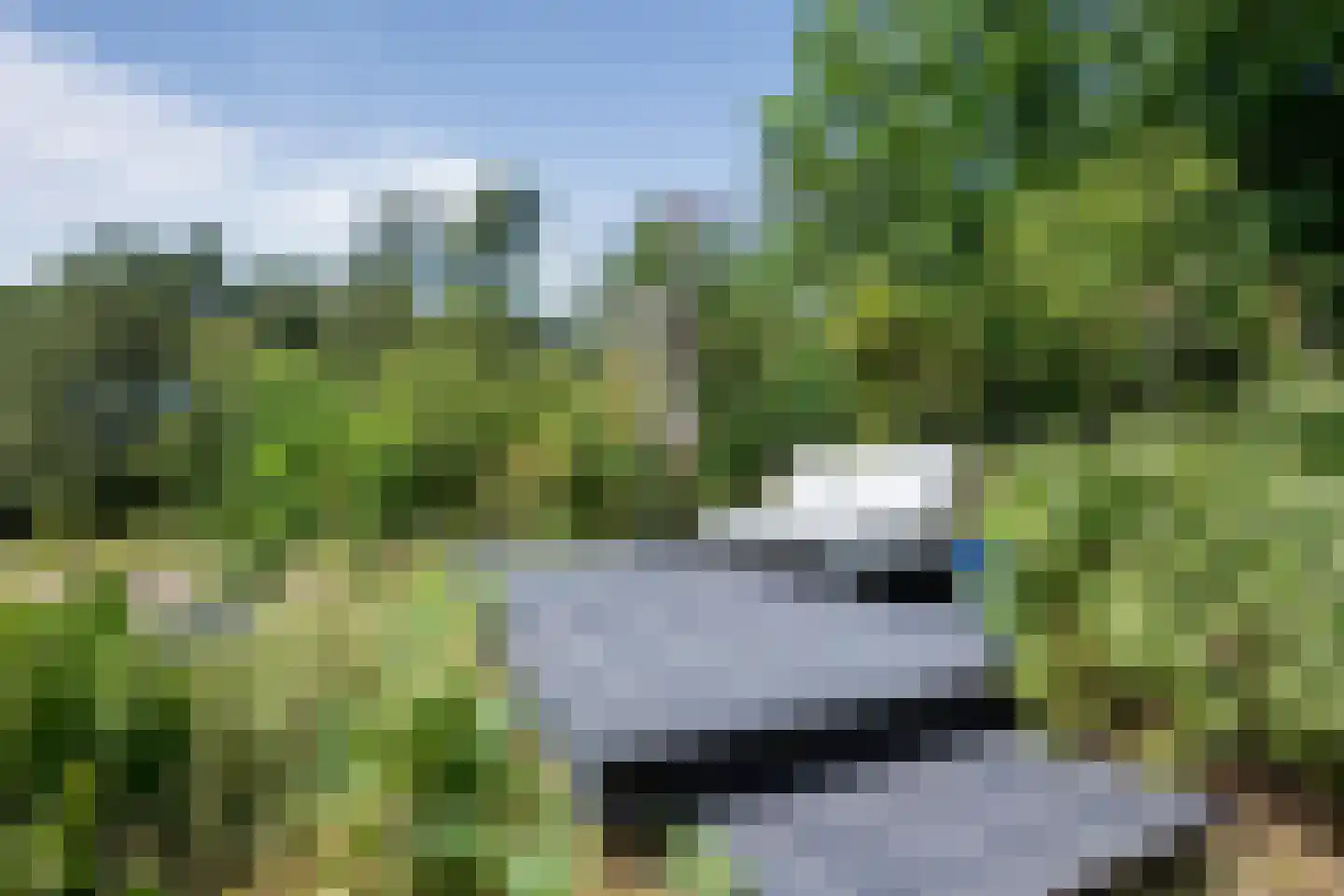 Hoge Duin en Daalseweg 31 a Bloemendaal thumbnail 49