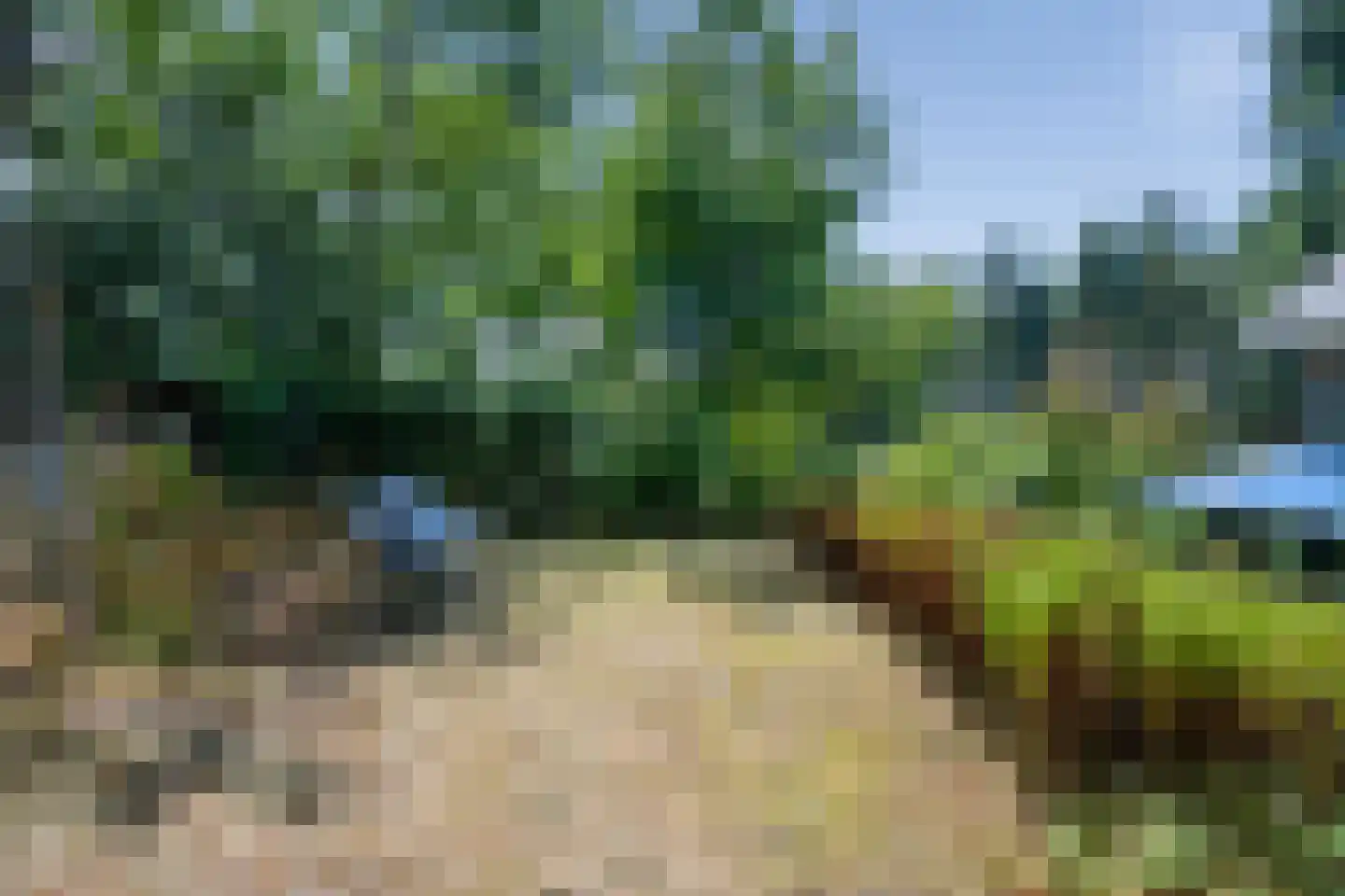 Hoge Duin en Daalseweg 31 a Bloemendaal thumbnail 51