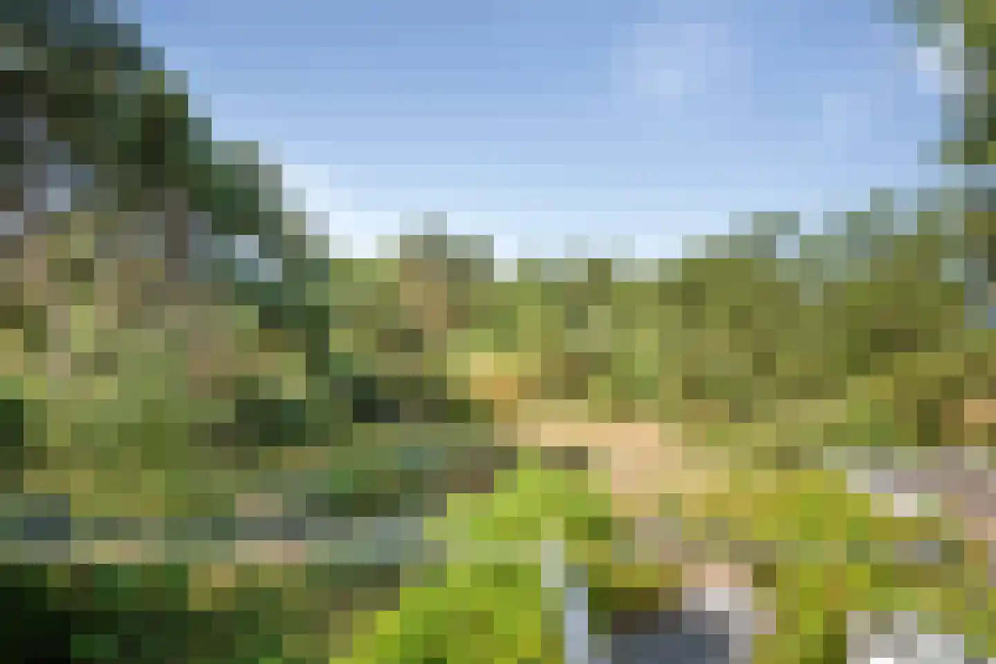 Hoge Duin en Daalseweg 38 Bloemendaal thumbnail 35