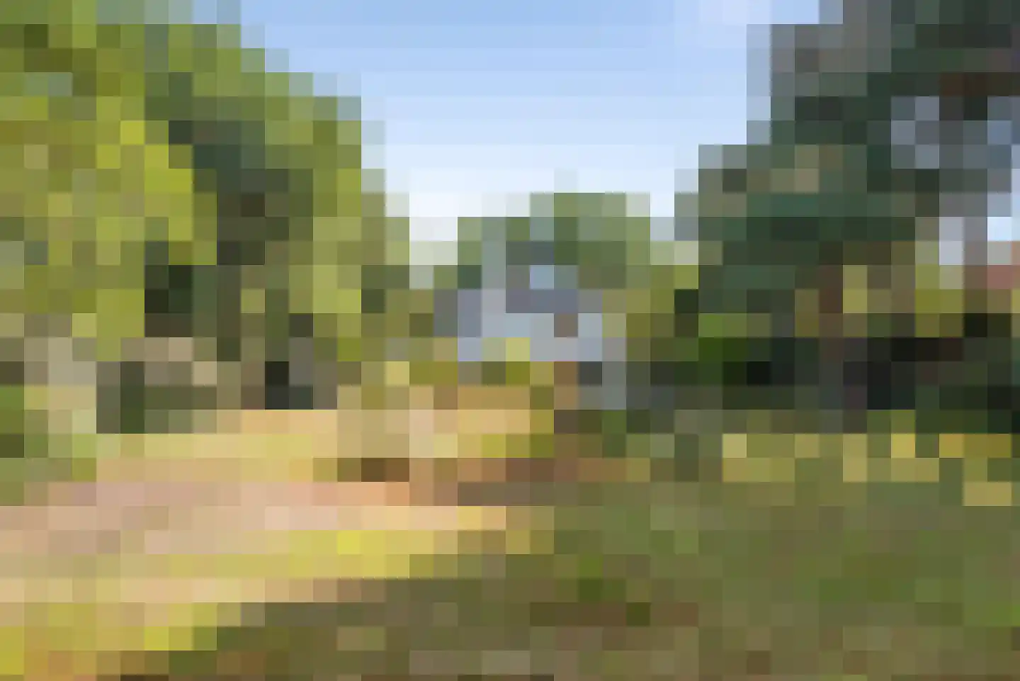 Hoge Duin en Daalseweg 38 Bloemendaal thumbnail 50