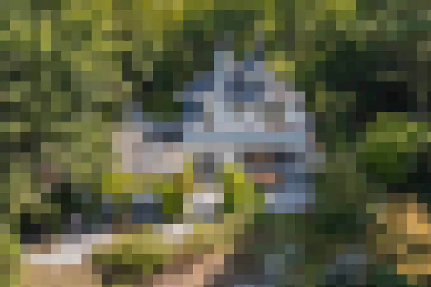 Hoge Duin en Daalseweg 38 Bloemendaal thumbnail 53