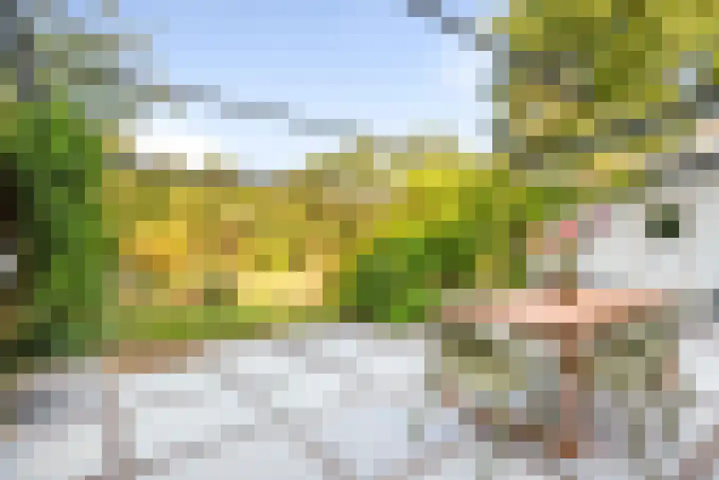 Hoge Duin en Daalseweg 38 Bloemendaal thumbnail 57