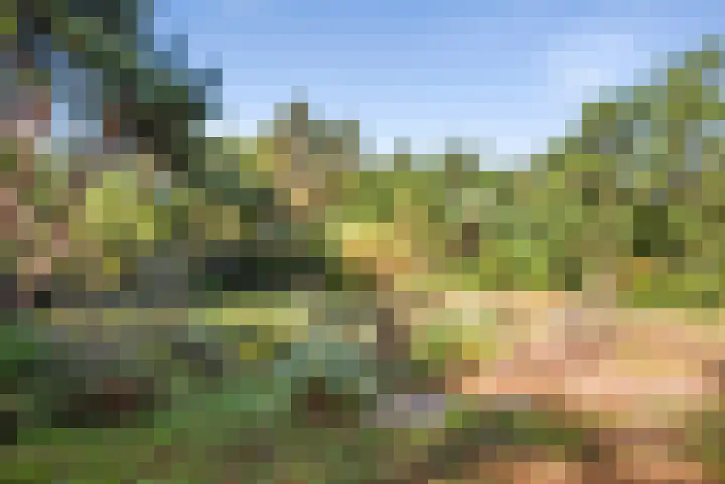 Hoge Duin en Daalseweg 38 Bloemendaal thumbnail 58