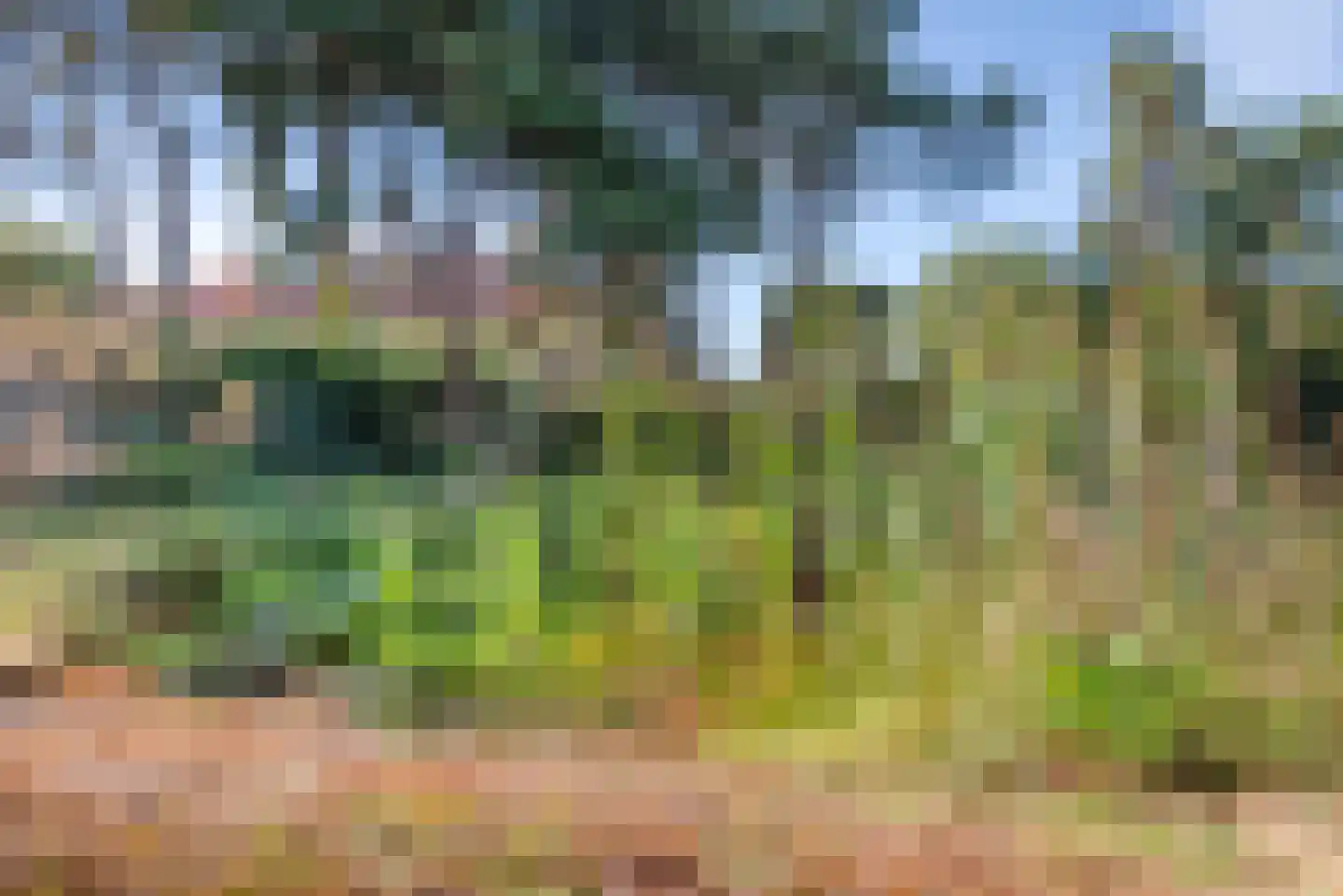 Hoge Duin en Daalseweg 38 Bloemendaal thumbnail 59
