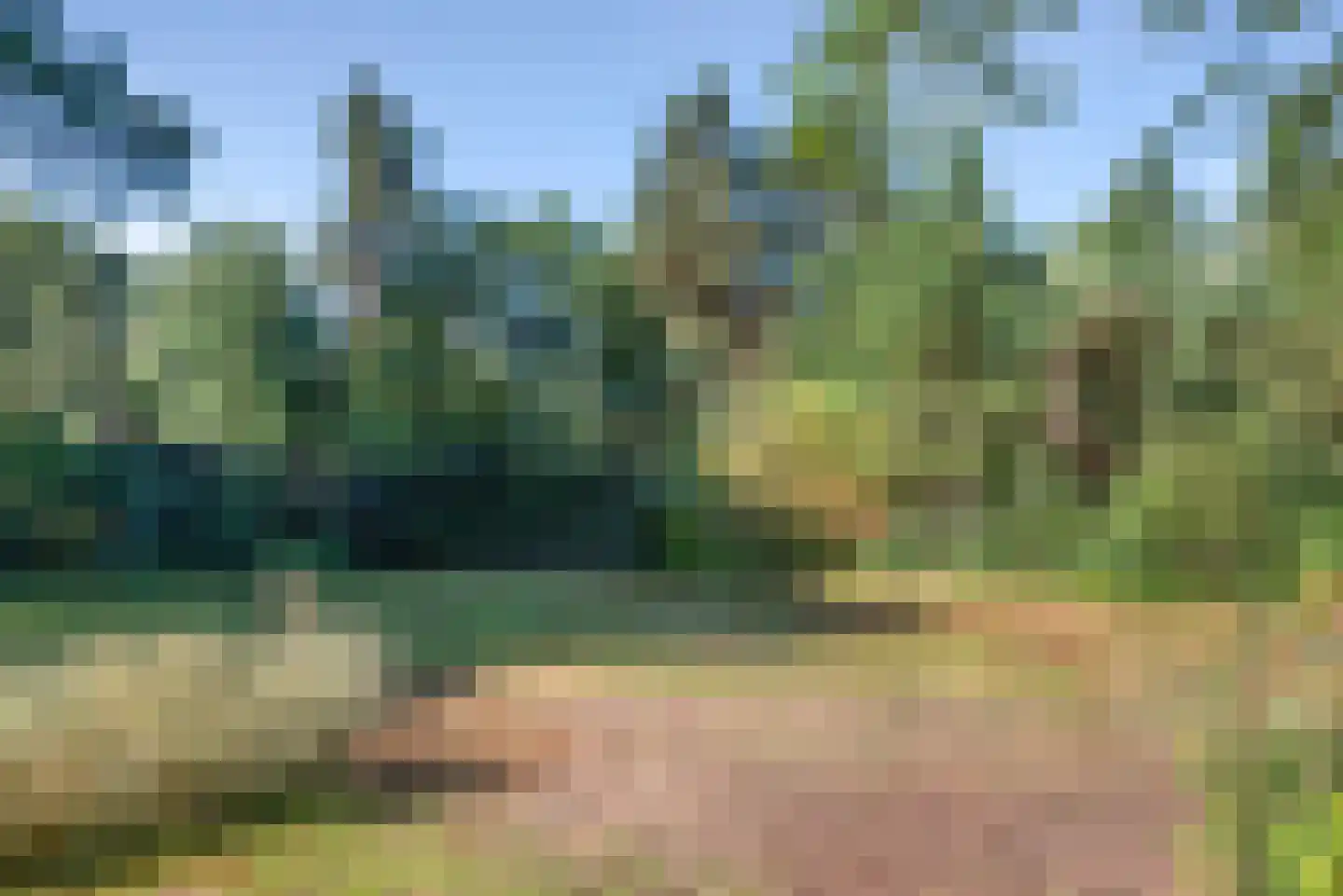 Hoge Duin en Daalseweg 38 Bloemendaal thumbnail 60