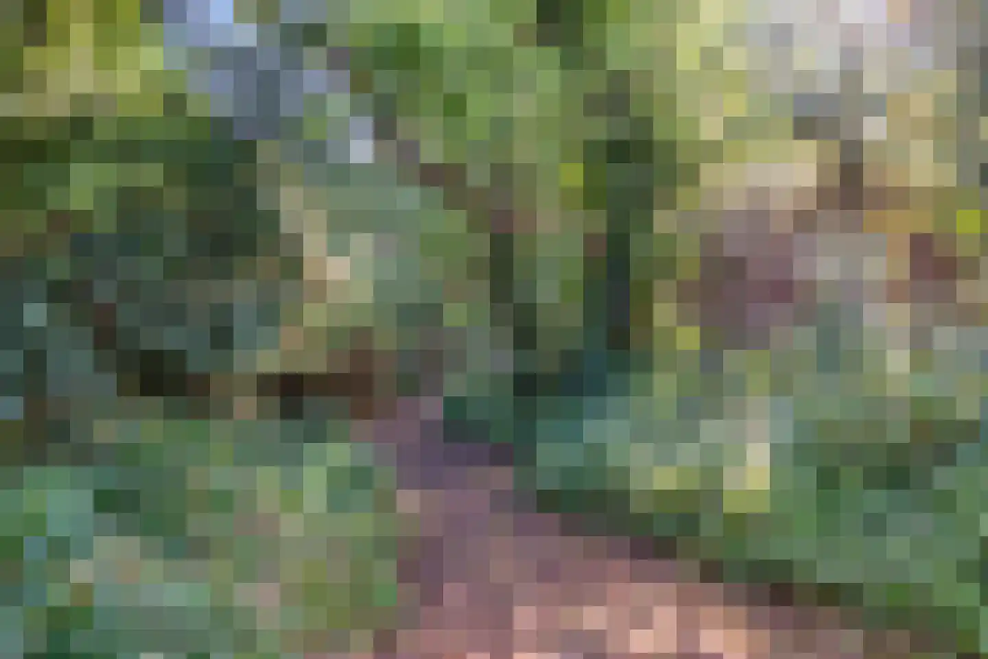 Hoge Duin en Daalseweg 38 Bloemendaal thumbnail 62
