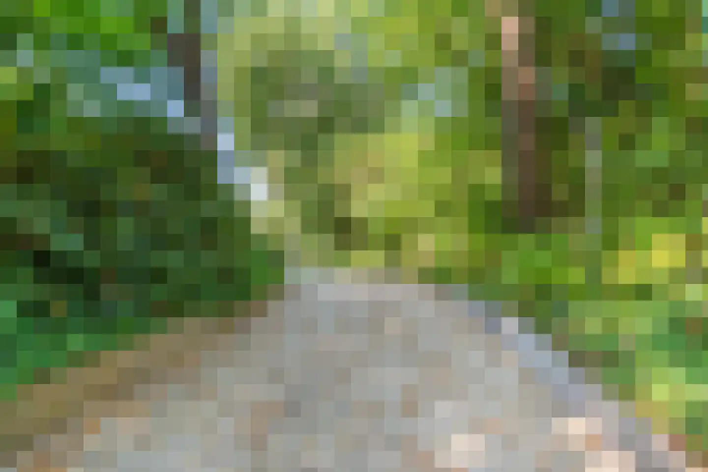 Hoge Duin en Daalseweg 38 Bloemendaal thumbnail 66