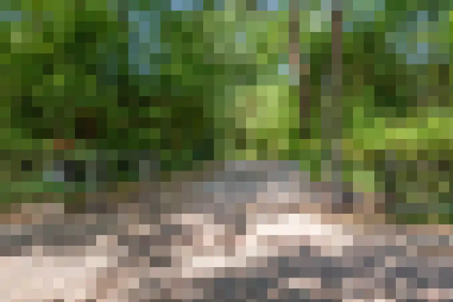 Hoge Duin en Daalseweg 38 Bloemendaal thumbnail 67