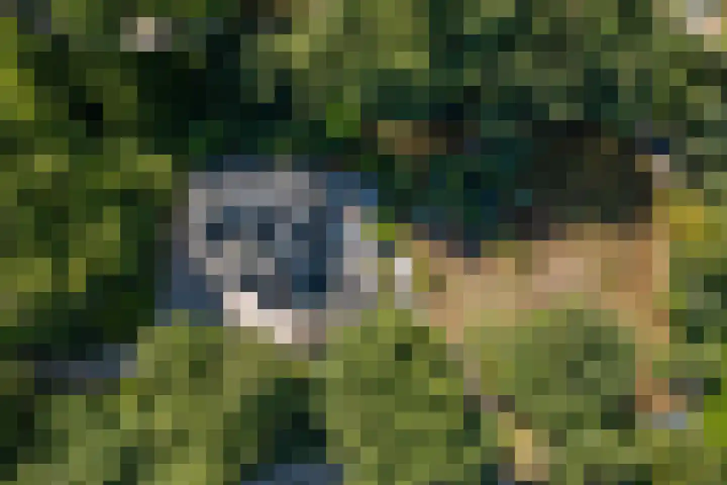 Hoge Duin en Daalseweg 38 Bloemendaal thumbnail 68