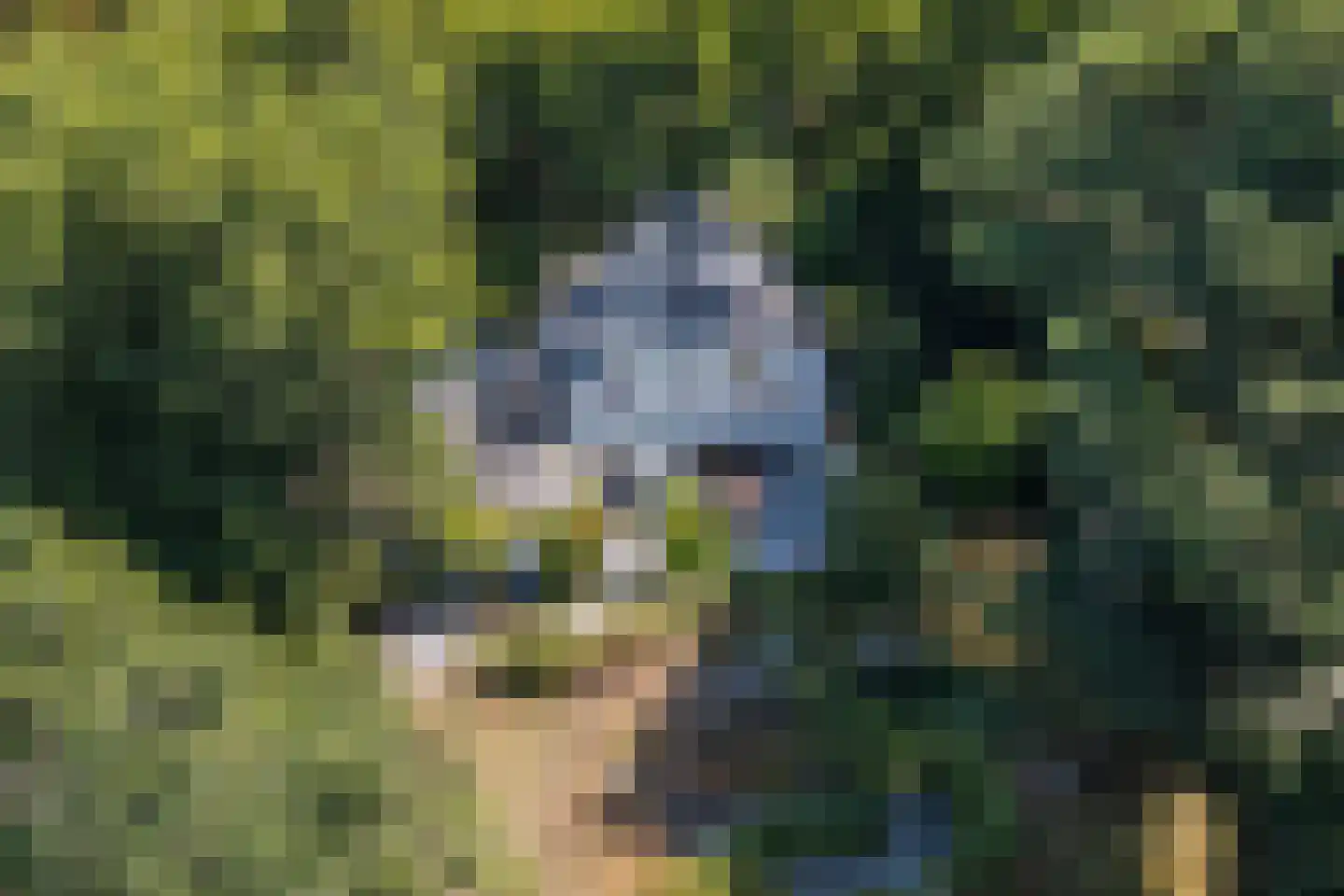 Hoge Duin en Daalseweg 38 Bloemendaal thumbnail 69