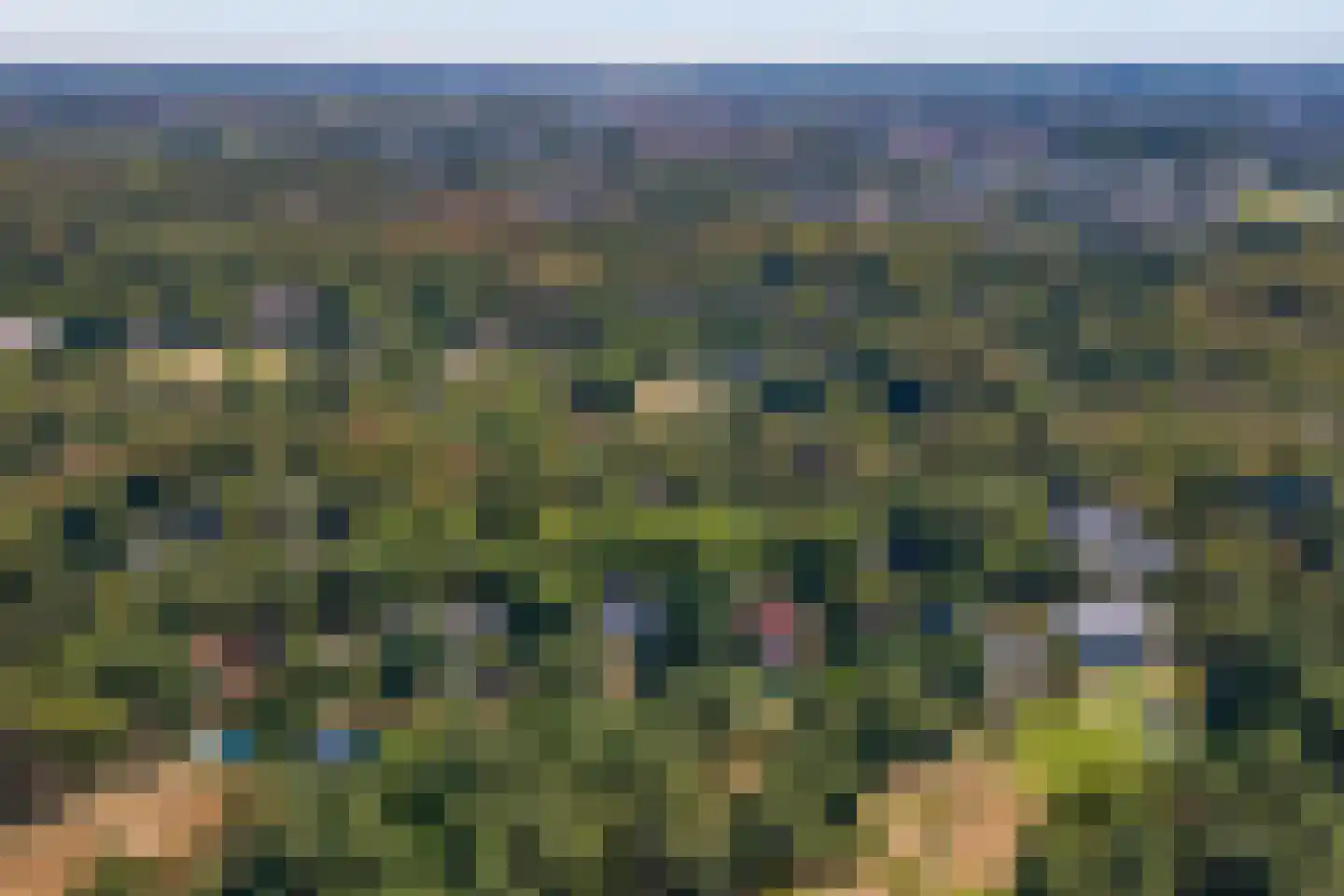 Hoge Duin en Daalseweg 38 Bloemendaal thumbnail 71