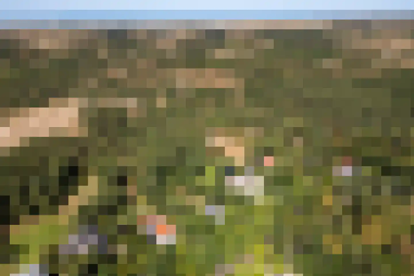 Hoge Duin en Daalseweg 38 Bloemendaal thumbnail 72