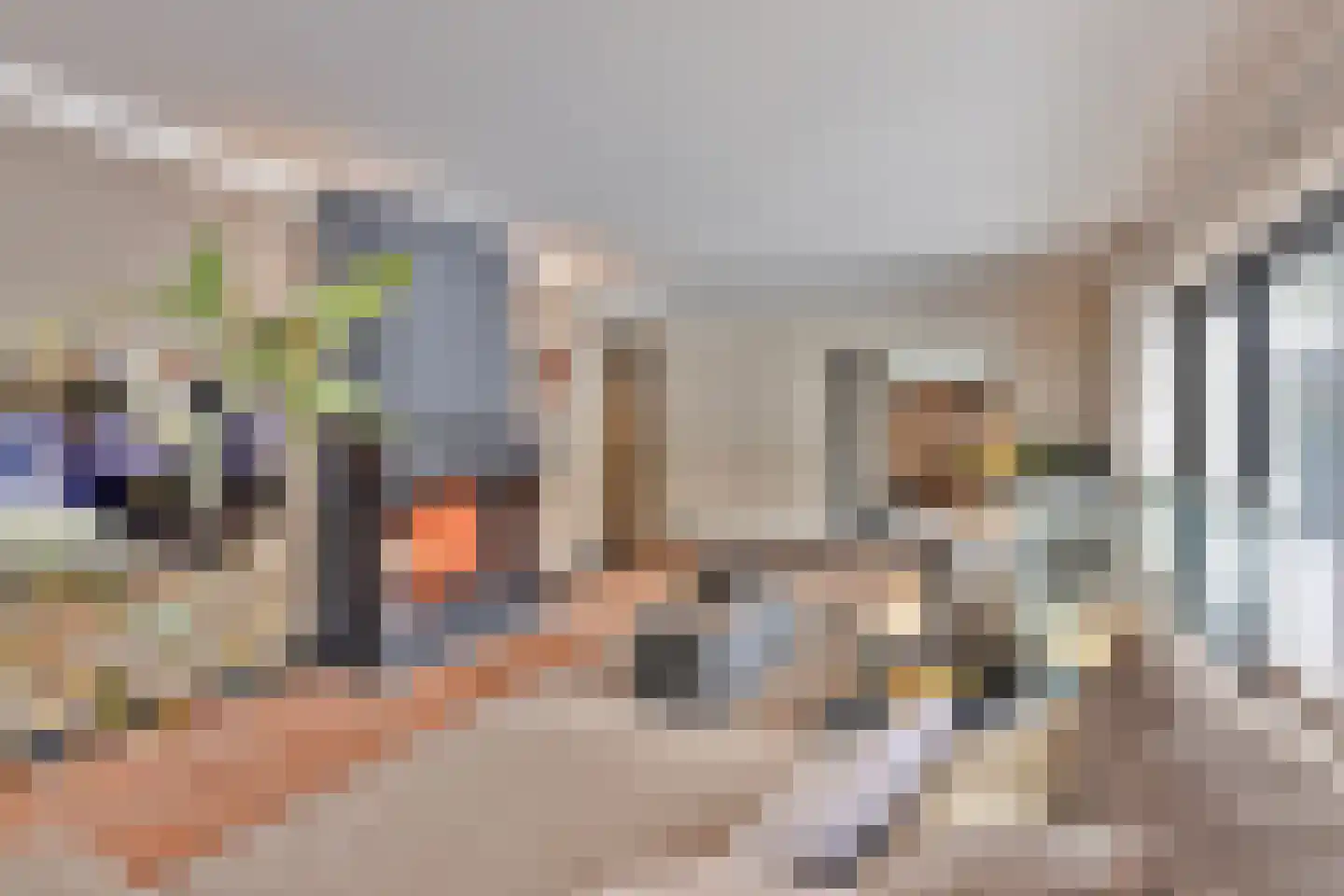 Hoge Duinlaan 13 Waalre thumbnail 10