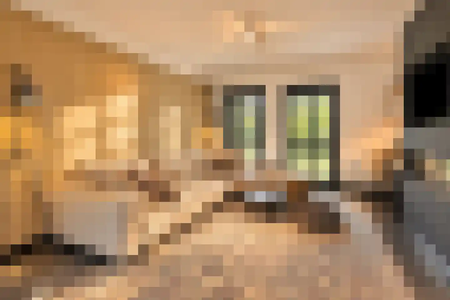 Hoge Duinlaan 13 Waalre thumbnail 11