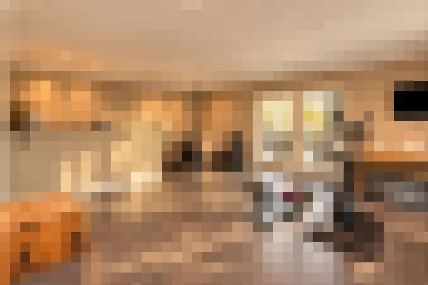 Hoge Duinlaan 13 Waalre thumbnail 12