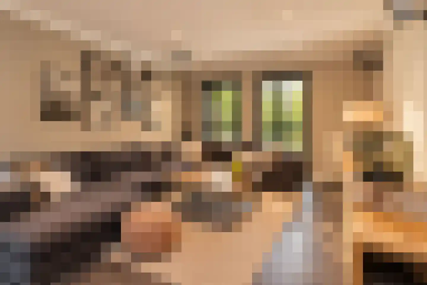 Hoge Duinlaan 13 Waalre thumbnail 13