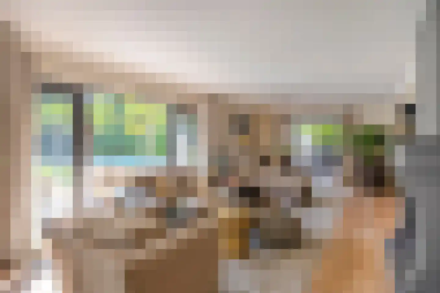 Hoge Duinlaan 13 Waalre thumbnail 13