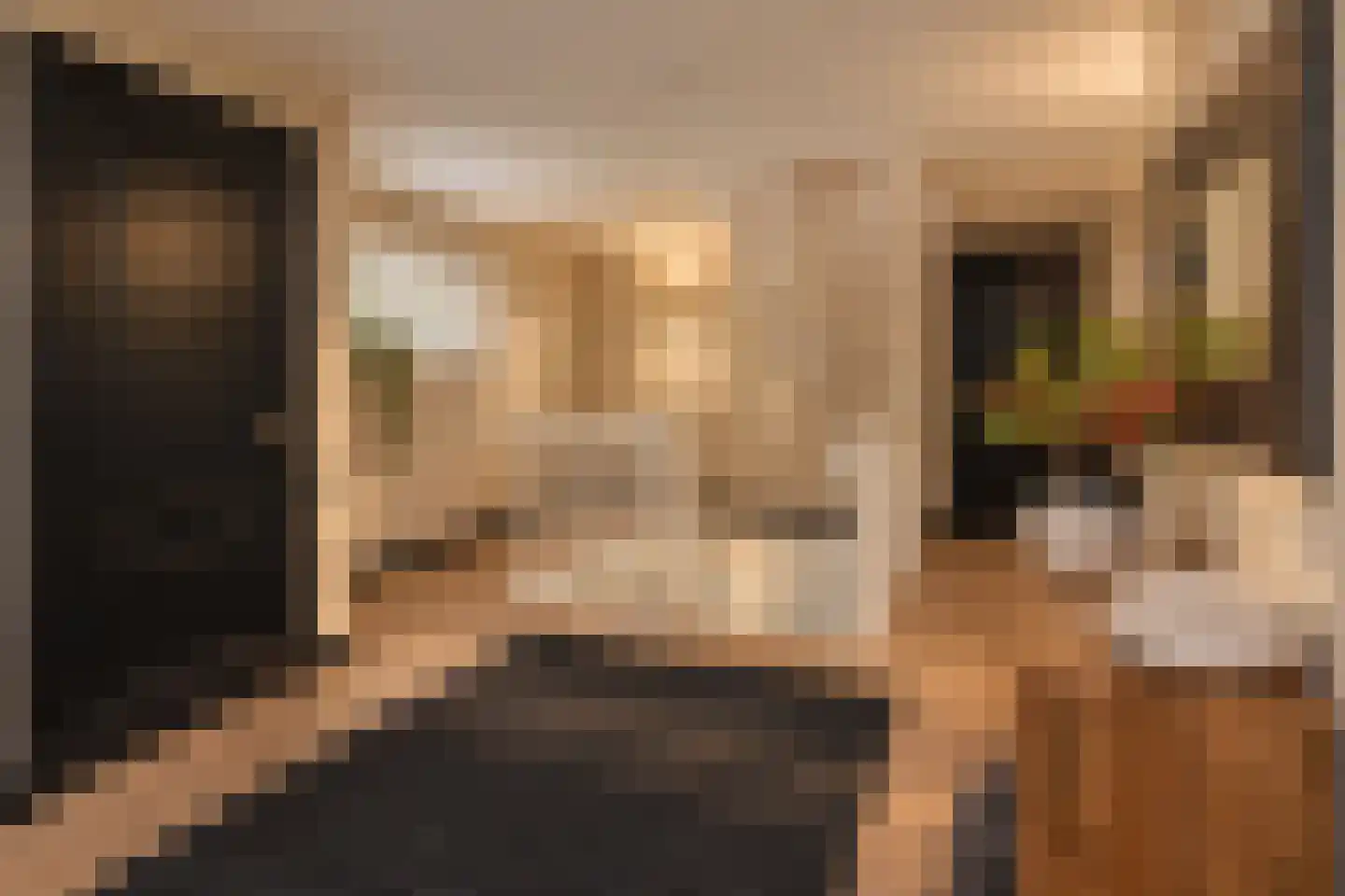 Hoge Duinlaan 13 Waalre thumbnail 14