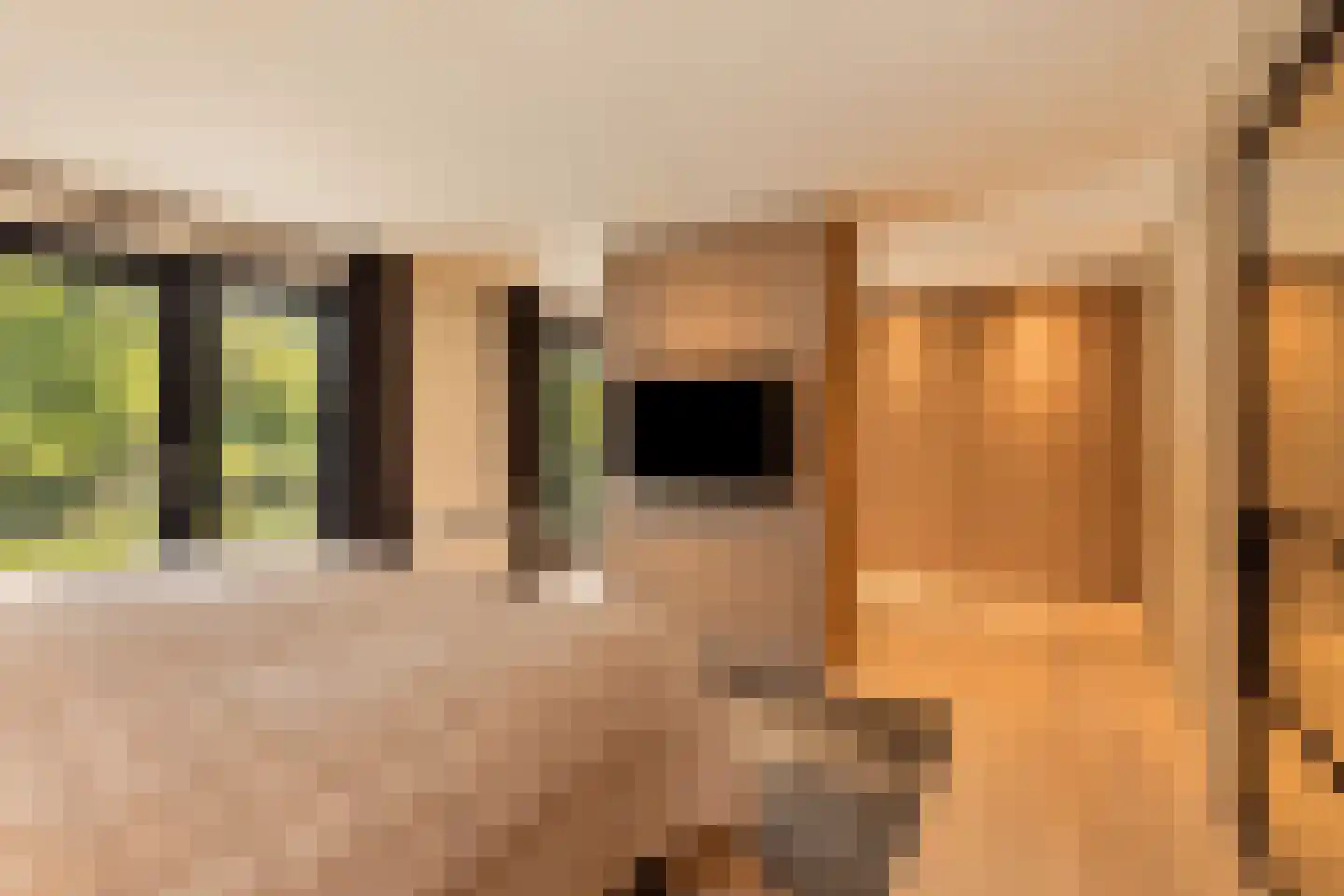 Hoge Duinlaan 13 Waalre thumbnail 15