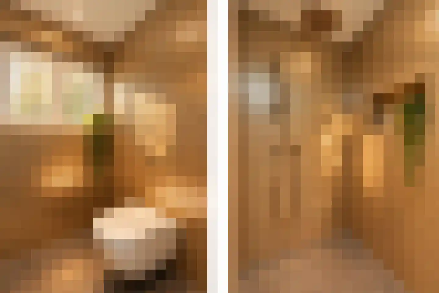 Hoge Duinlaan 13 Waalre thumbnail 18