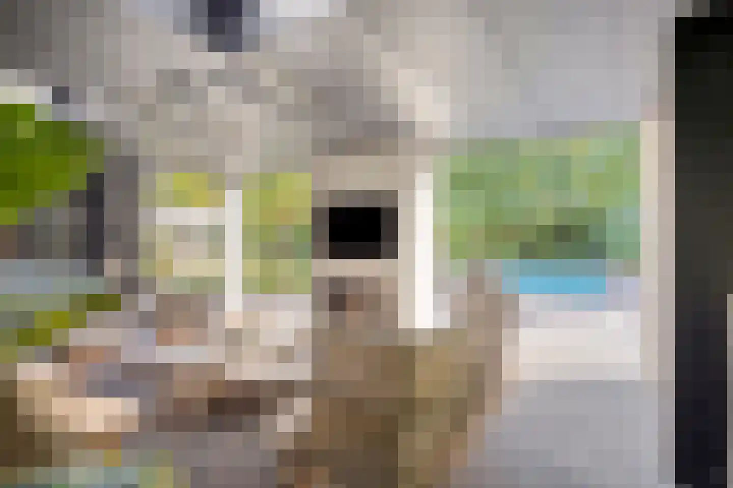 Hoge Duinlaan 13 Waalre thumbnail 19