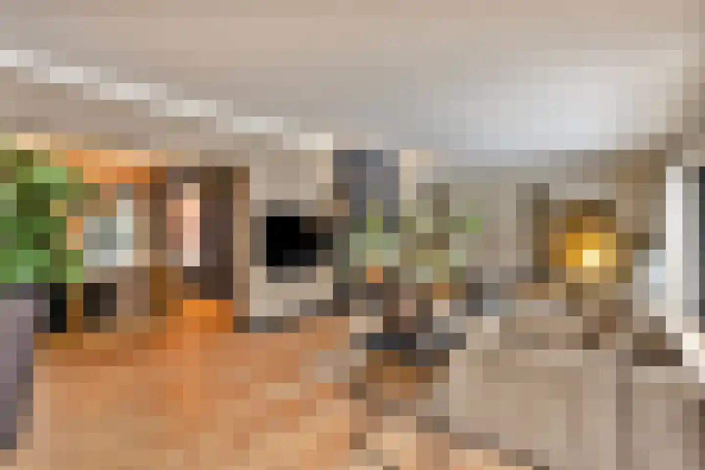 Hoge Duinlaan 13 Waalre thumbnail 20