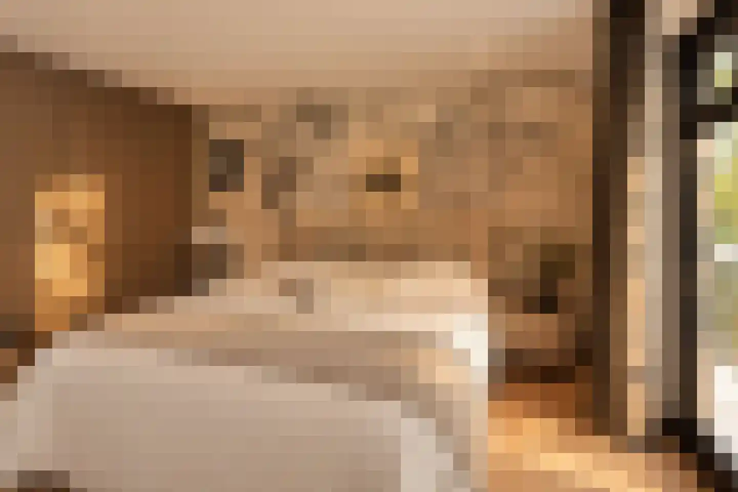 Hoge Duinlaan 13 Waalre thumbnail 20