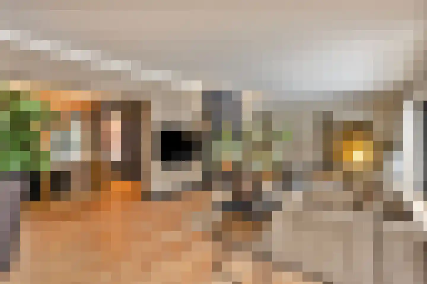 Hoge Duinlaan 13 Waalre thumbnail 20