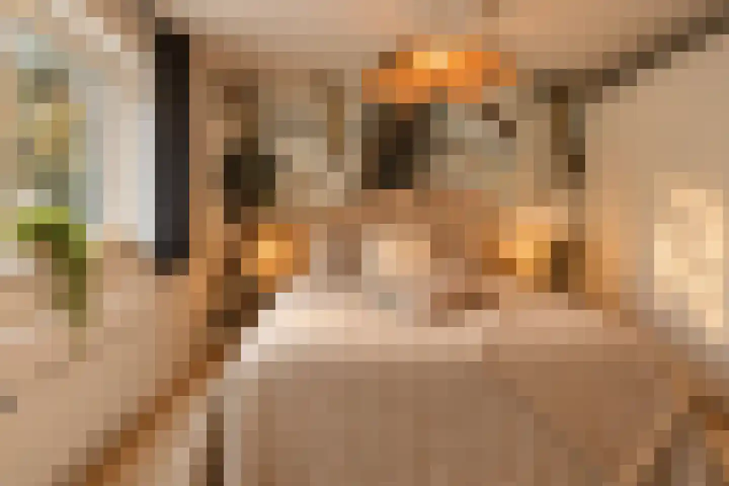Hoge Duinlaan 13 Waalre thumbnail 21