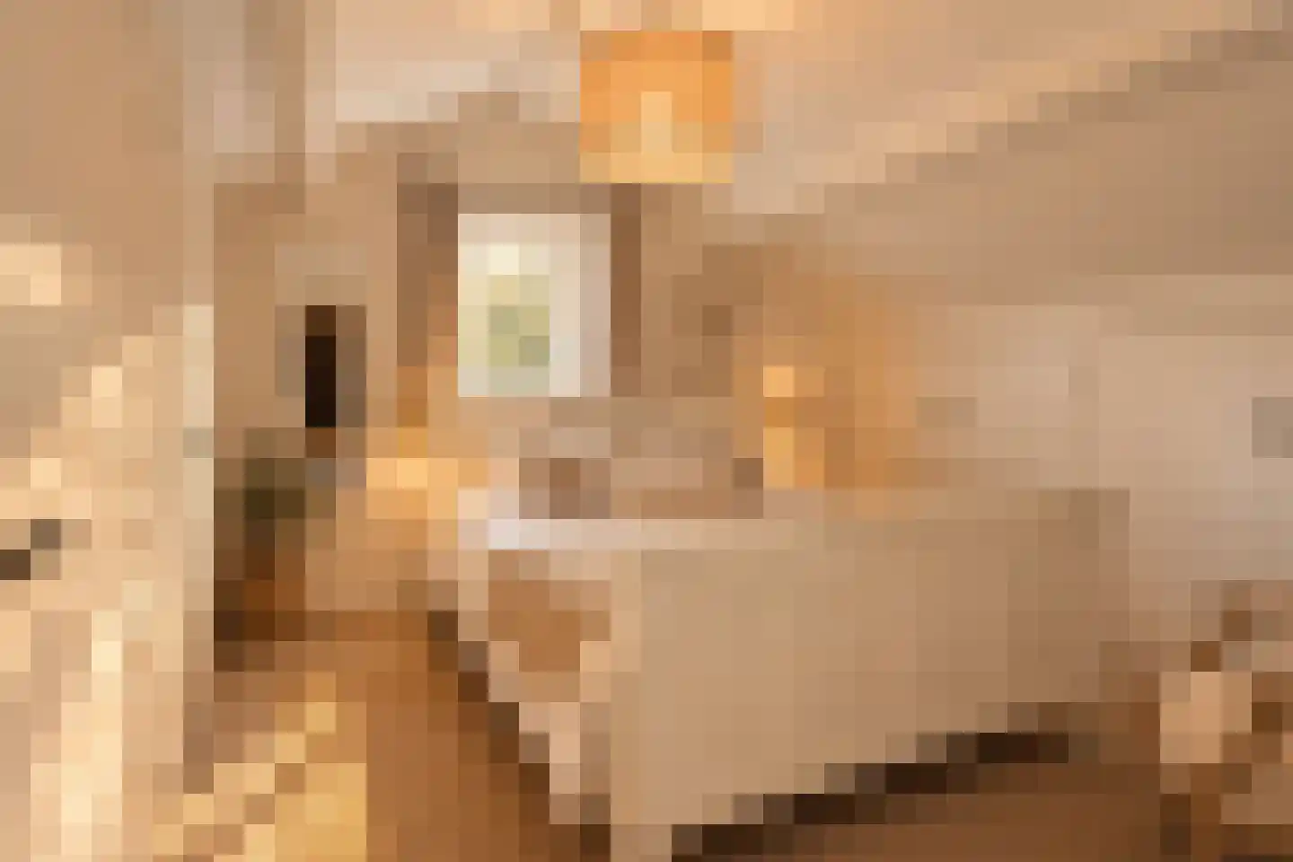 Hoge Duinlaan 13 Waalre thumbnail 23