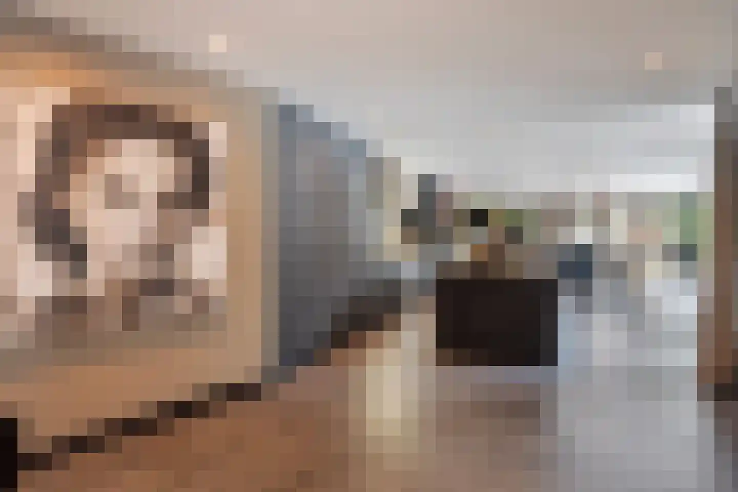 Hoge Duinlaan 13 Waalre thumbnail 24