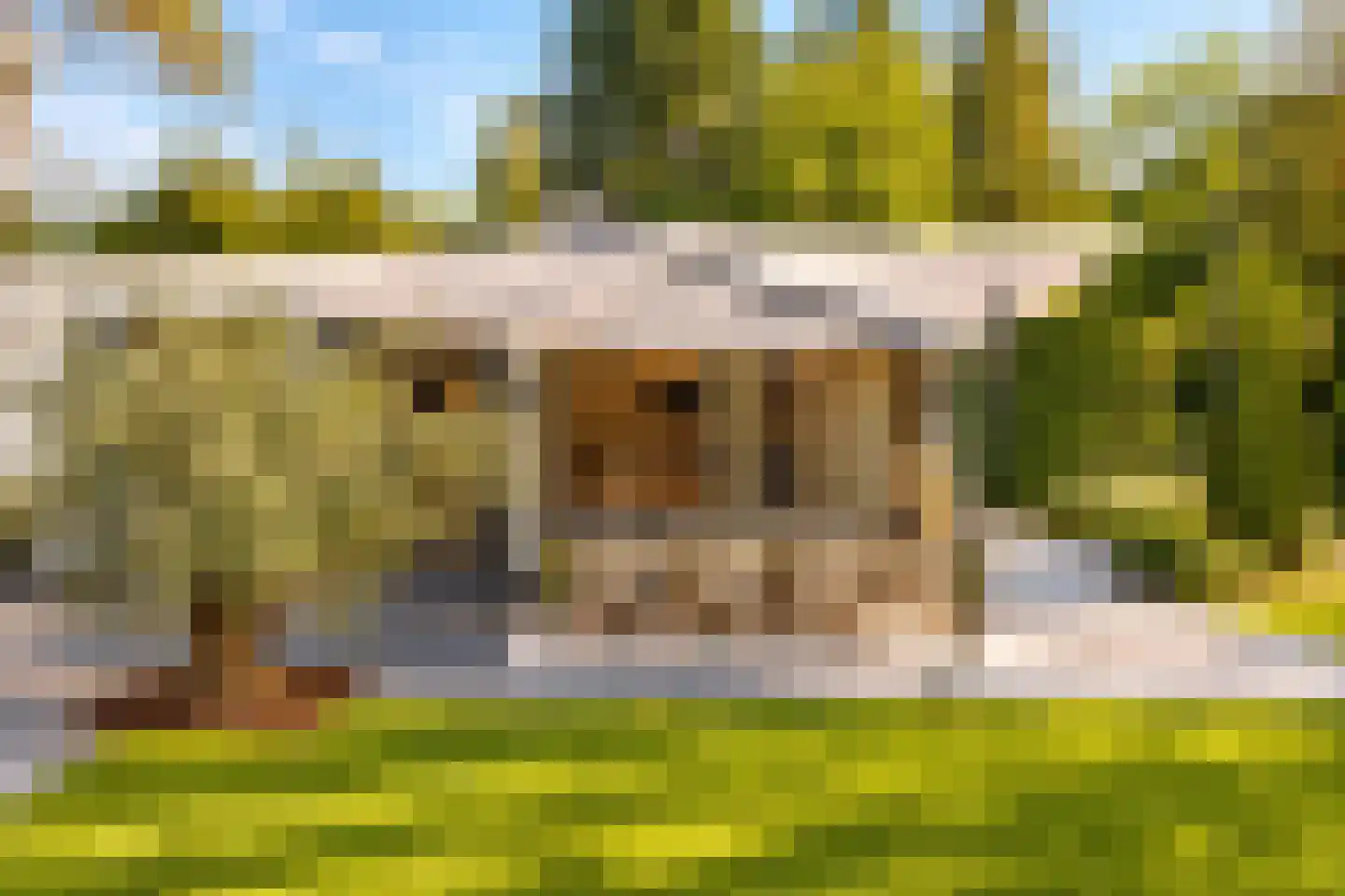 Hoge Duinlaan 13 Waalre thumbnail 26