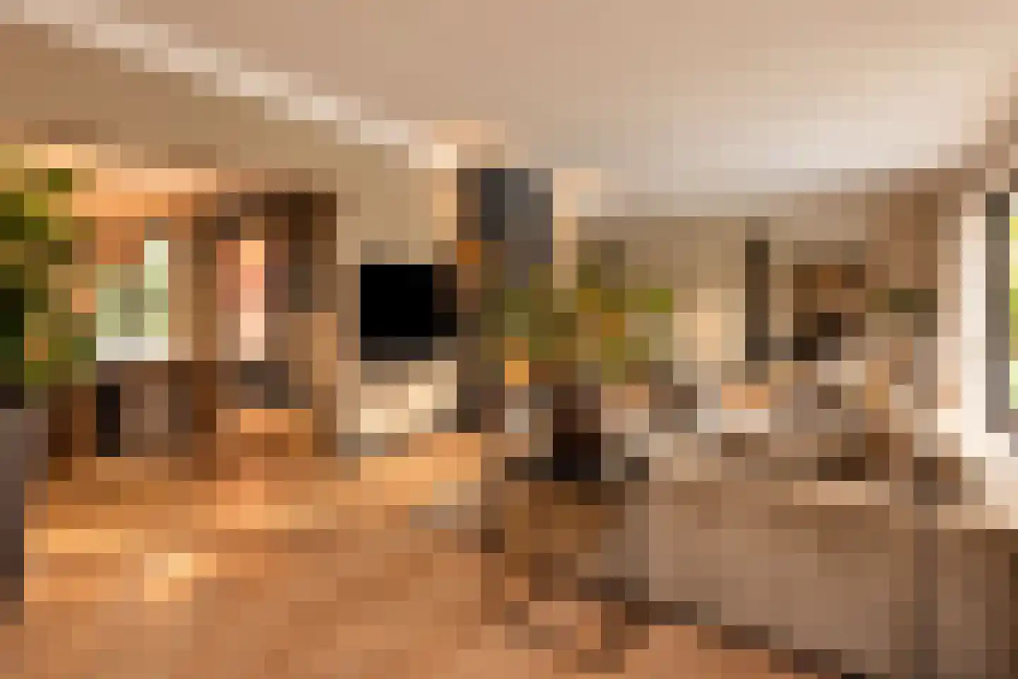 Hoge Duinlaan 13 Waalre foto 3
