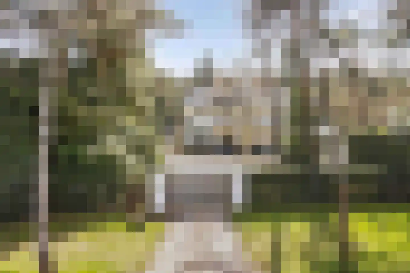 Hoge Duinlaan 13 Waalre foto 3
