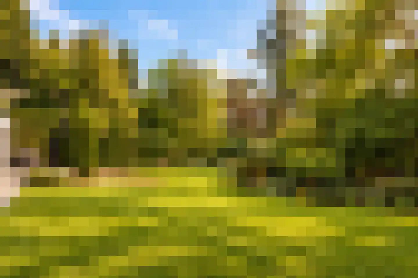 Hoge Duinlaan 13 Waalre thumbnail 30