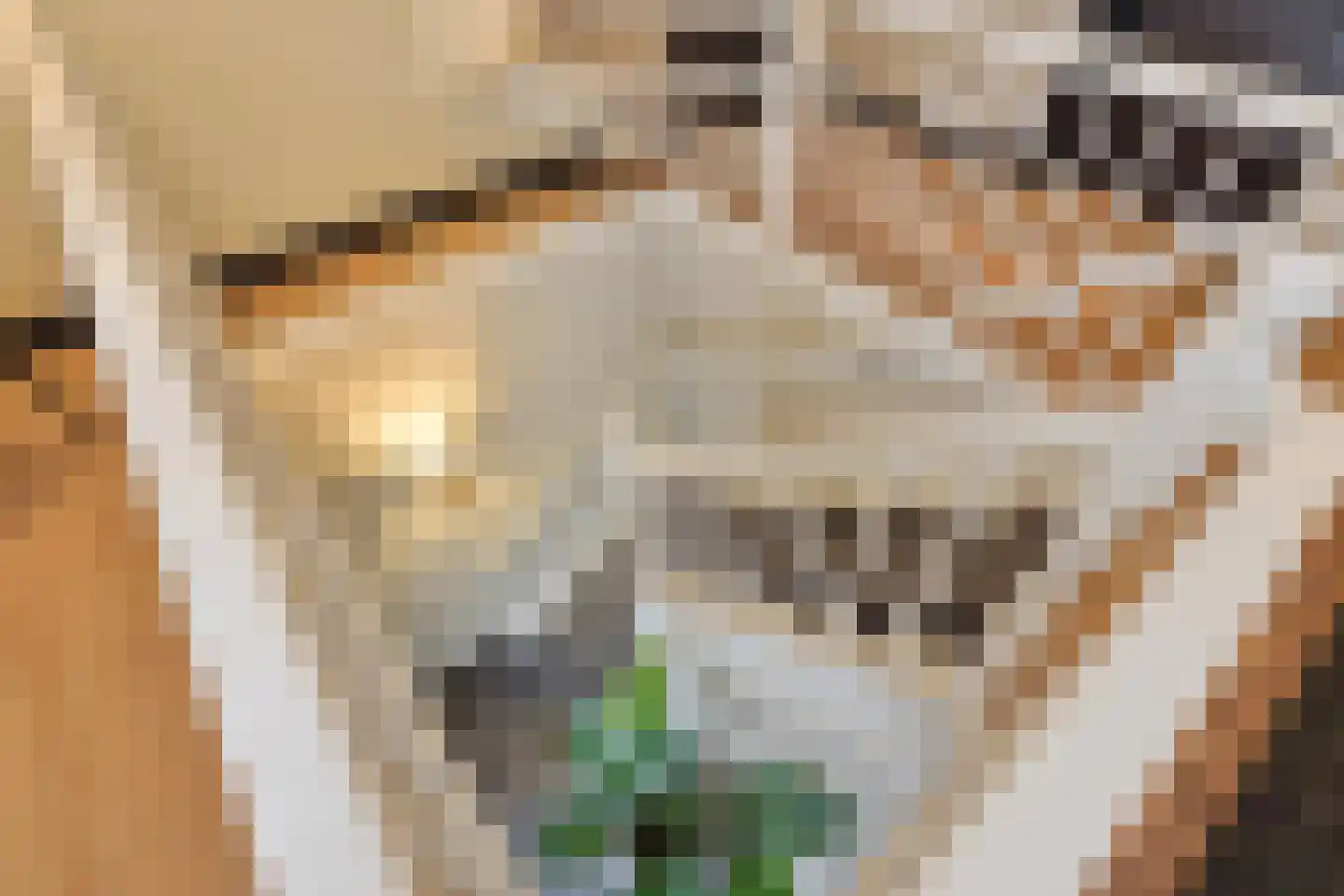 Hoge Duinlaan 13 Waalre thumbnail 40