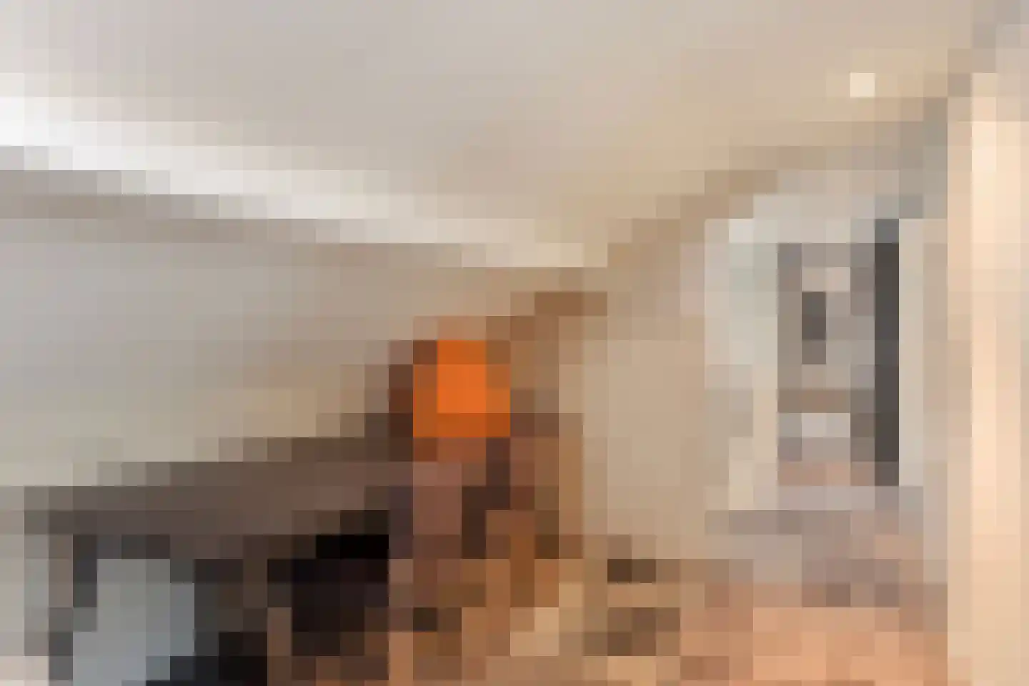 Hoge Duinlaan 13 Waalre thumbnail 42
