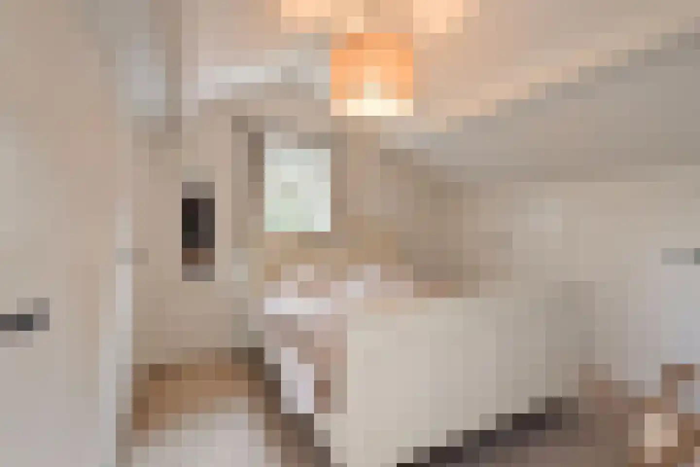 Hoge Duinlaan 13 Waalre thumbnail 43