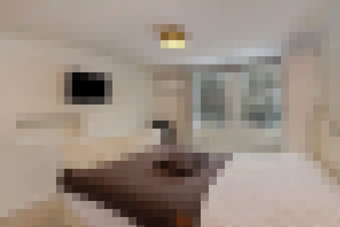Hoge Duinlaan 13 Waalre thumbnail 44