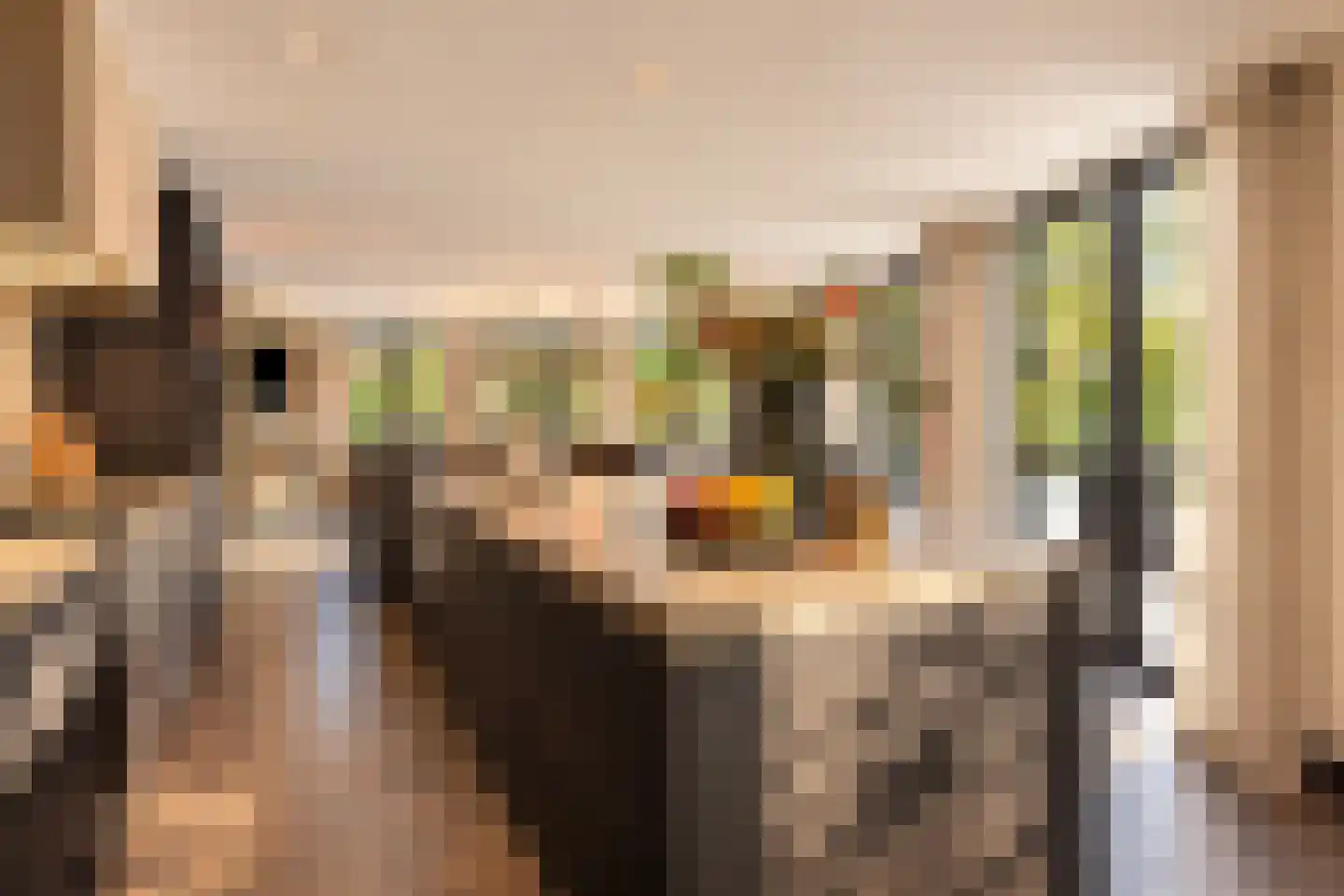Hoge Duinlaan 13 Waalre thumbnail 5