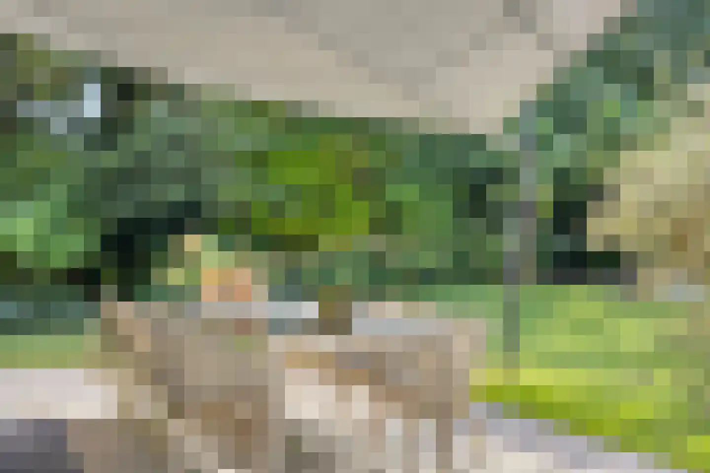 Hoge Duinlaan 13 Waalre thumbnail 52