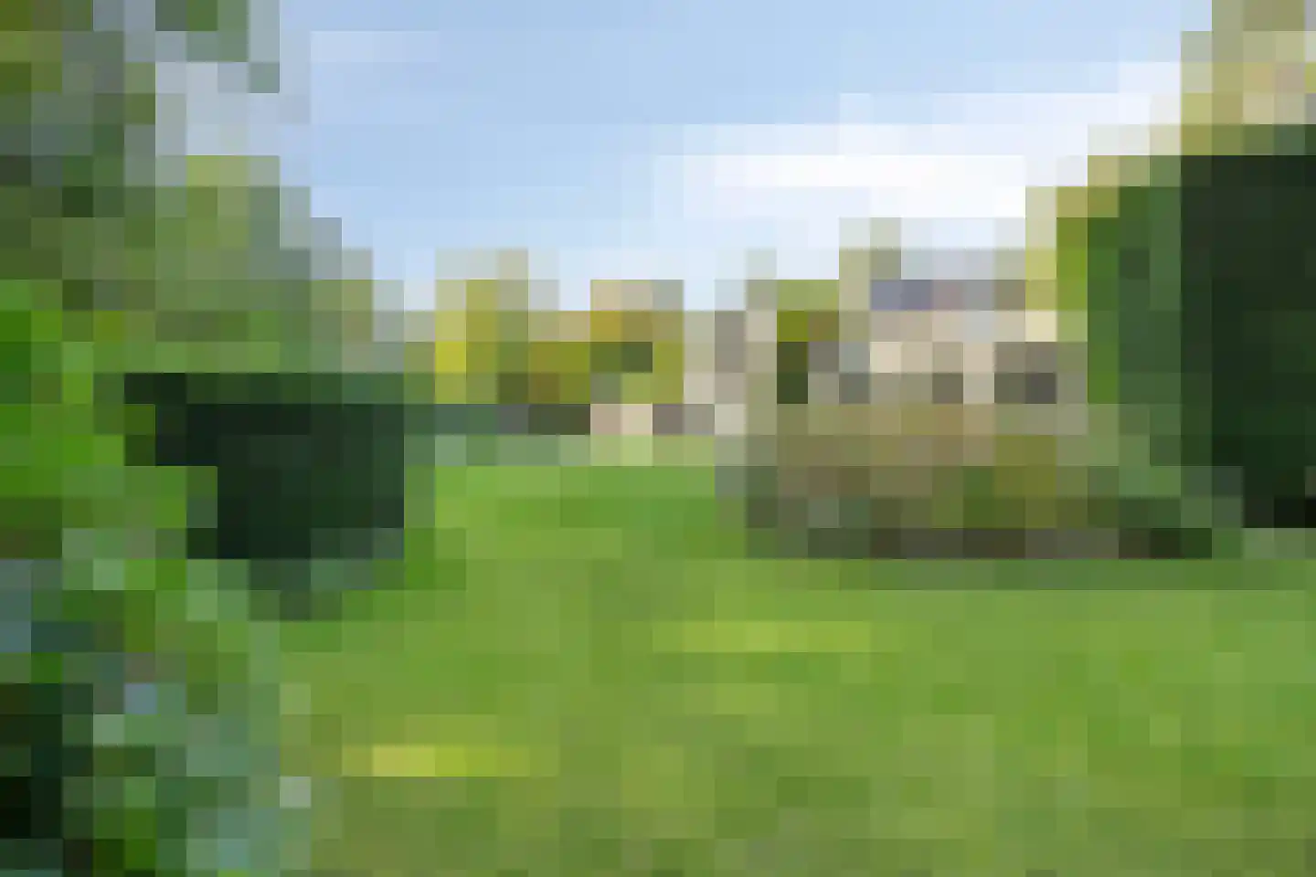 Hoge Duinlaan 13 Waalre thumbnail 57