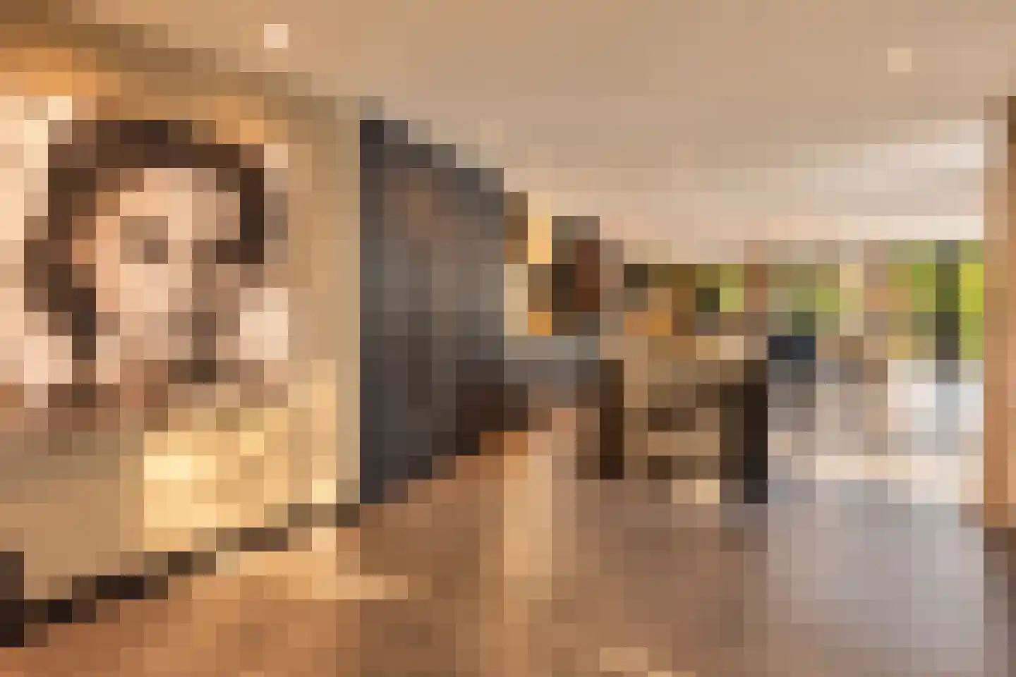 Hoge Duinlaan 13 Waalre thumbnail 8