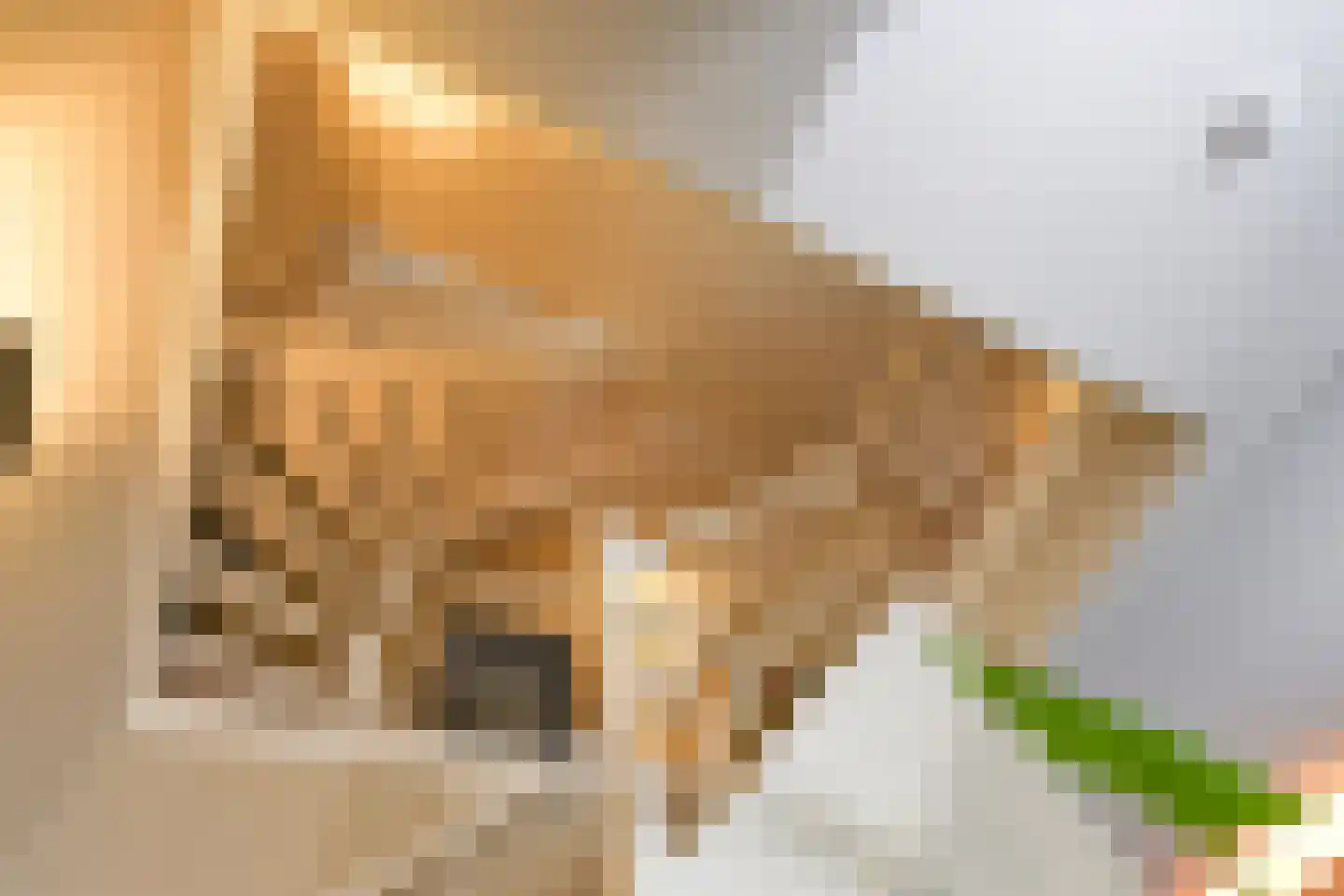Hoge Duinlaan 13 Waalre thumbnail 9