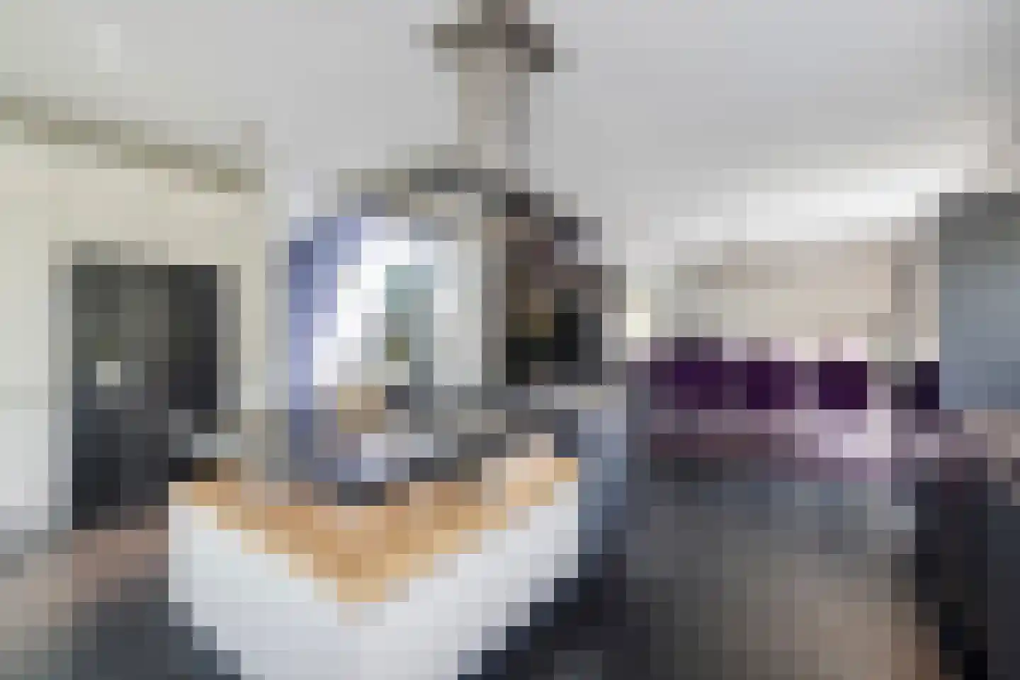 Hoge Duinlaan 26 Waalre thumbnail 11