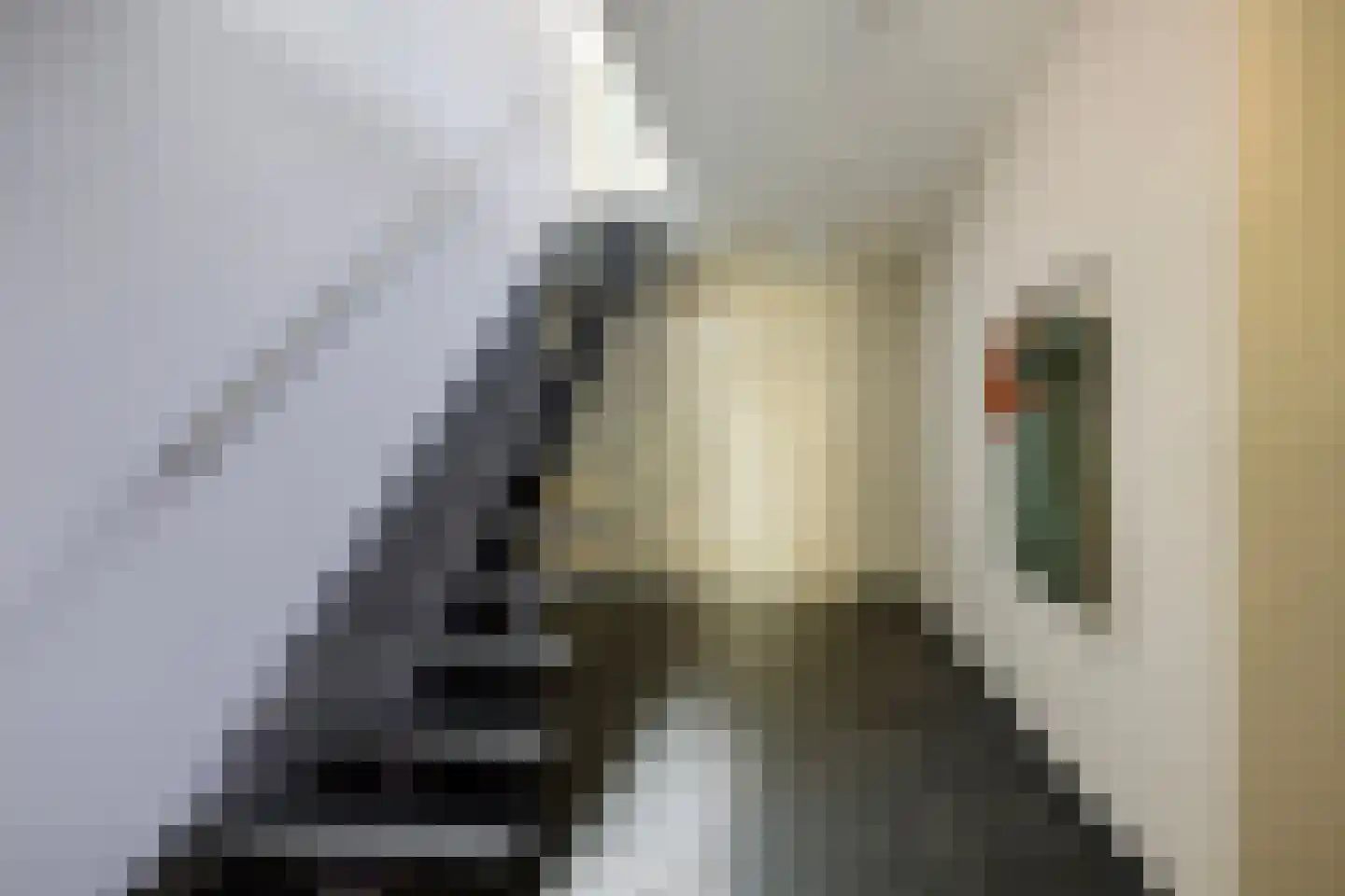 Hoge Duinlaan 26 Waalre thumbnail 20
