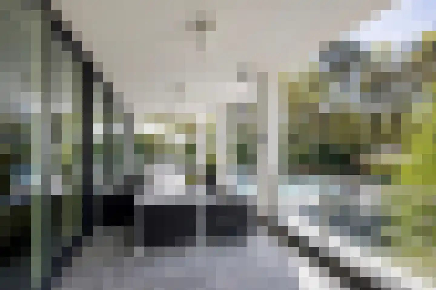 Hoge Duinlaan 26 Waalre thumbnail 27